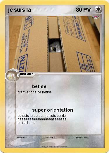 Pokemon je suis la