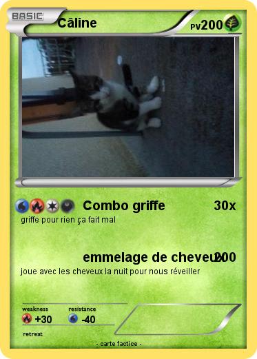 Pokemon Câline