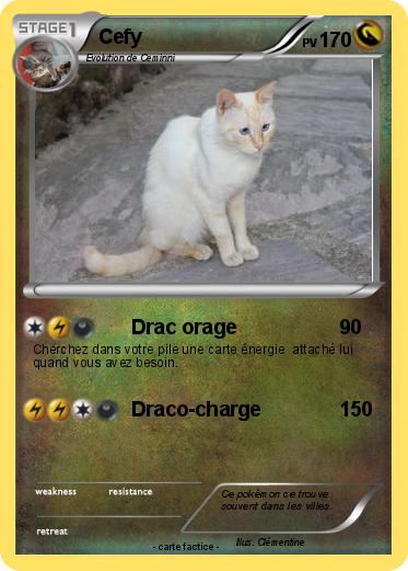 Pokemon Cefy
