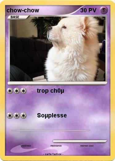 Pokemon chow-chow