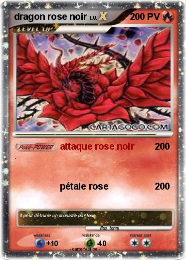 Pokemon dragon rose noir