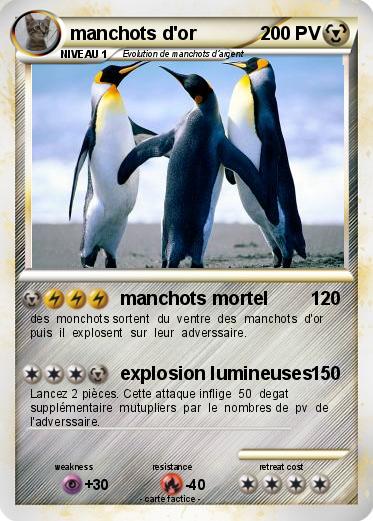 Pokemon manchots d'or