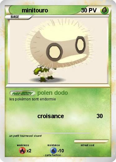 Pokemon minitouro