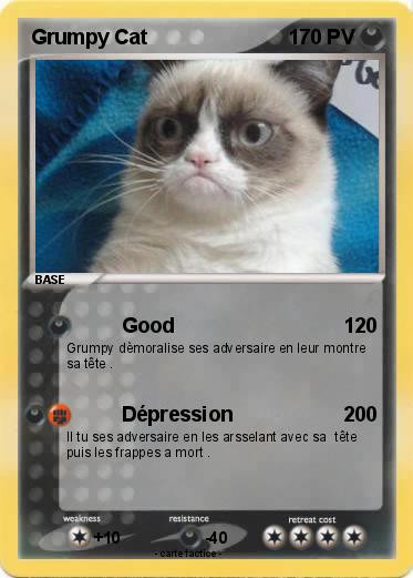 Pokemon Grumpy Cat