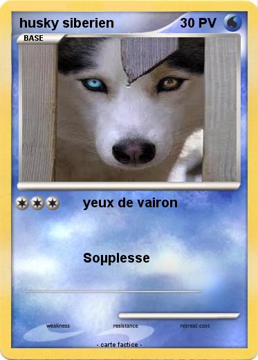 Pokemon husky siberien