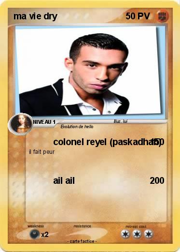 Pokemon ma vie dry