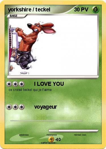 Pokemon yorkshire / teckel