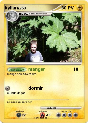 Pokemon kylian