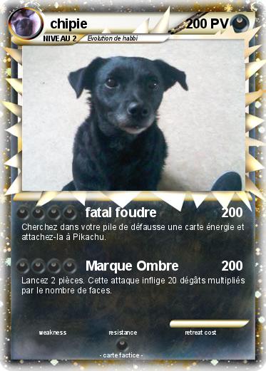 Pokemon chipie