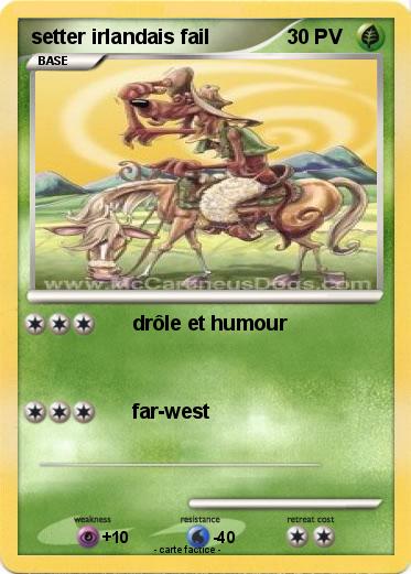 Pokemon setter irlandais fail
