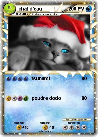 Pokemon chat d'eau