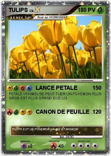 Pokemon TULIPS