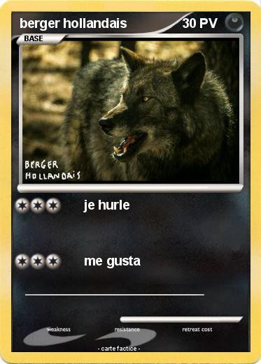 Pokemon berger hollandais