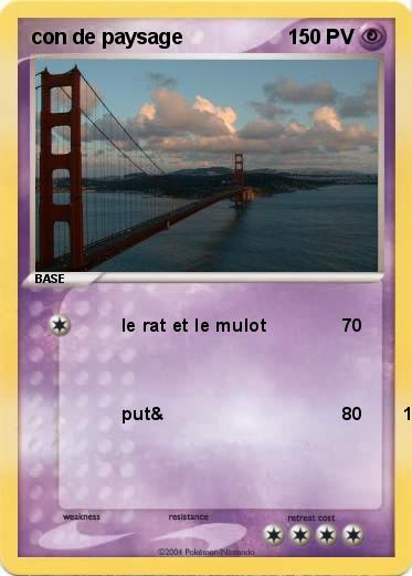 Pokemon con de paysage