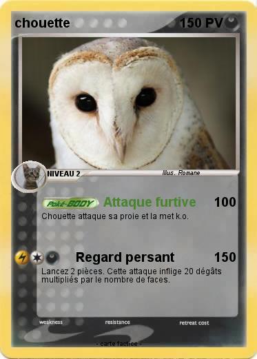 Pokemon chouette