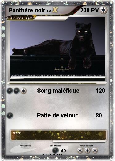 Pokemon Panthère noir