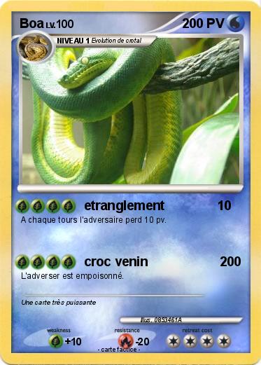 Pokemon Boa