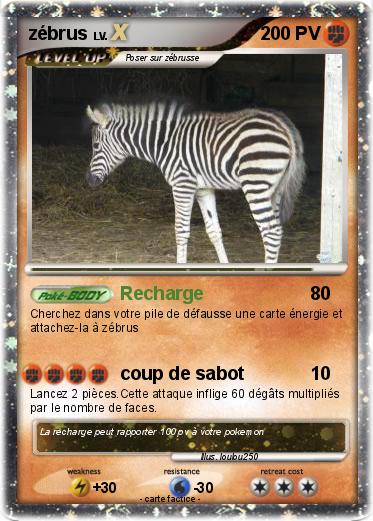 Pokemon zébrus