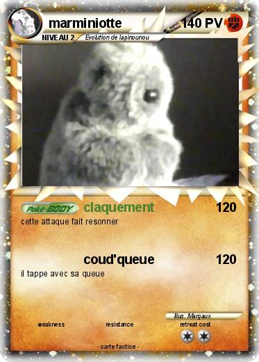 Pokemon marminiotte