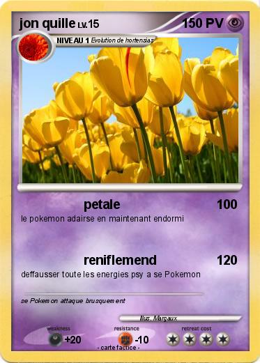 Pokemon jon quille