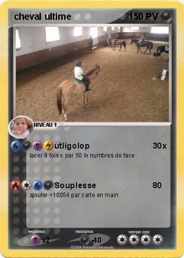 Pokemon cheval ultime