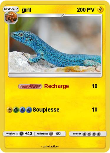 Pokemon ginf