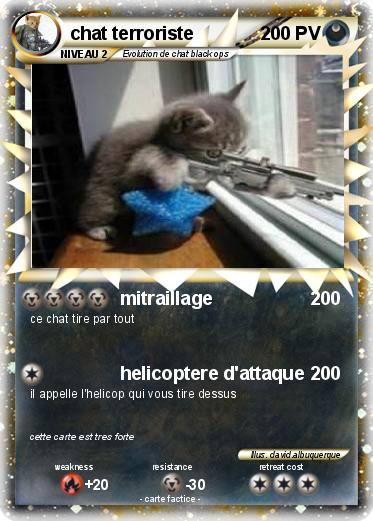 Pokemon chat terroriste