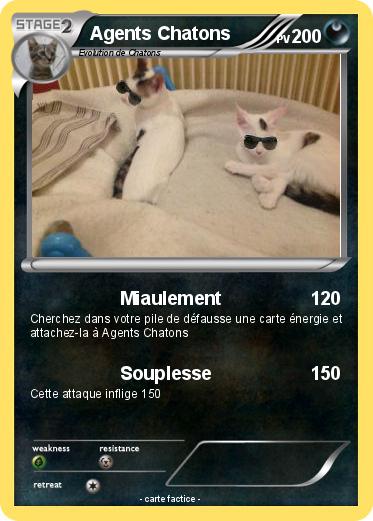 Pokemon Agents Chatons