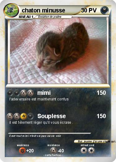 Pokemon chaton minusse