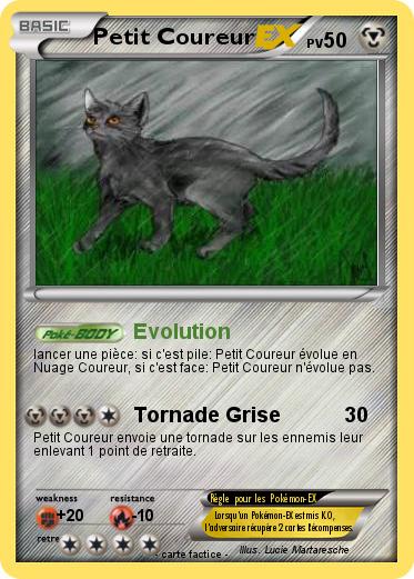 Pokemon Petit Coureur