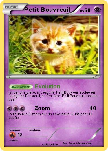 Pokemon Petit Bouvreuil