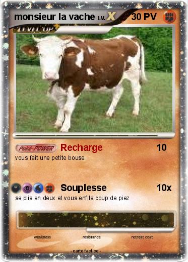 Pokemon monsieur la vache