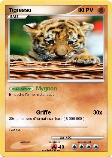 Pokemon Tigresso