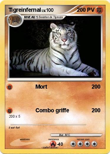 Pokemon Tigreinfernal