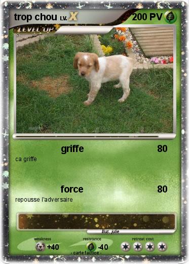 Pokemon trop chou