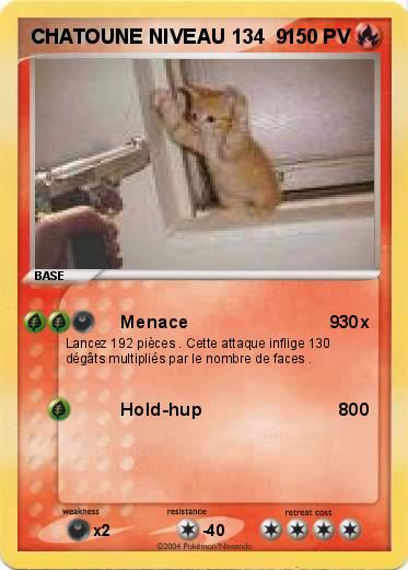 Pokemon CHATOUNE NIVEAU 134  9