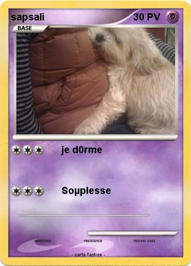Pokemon sapsali