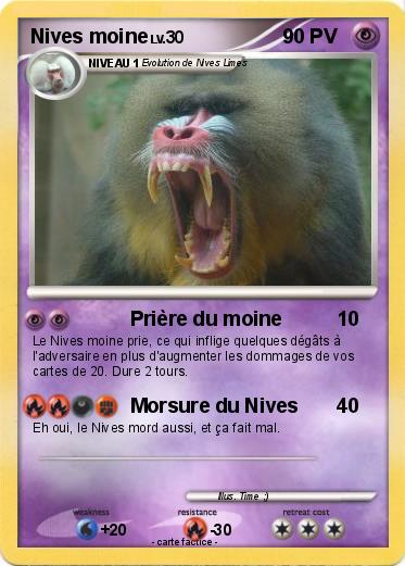 Pokemon Nives moine