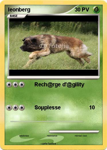 Pokemon leonberg