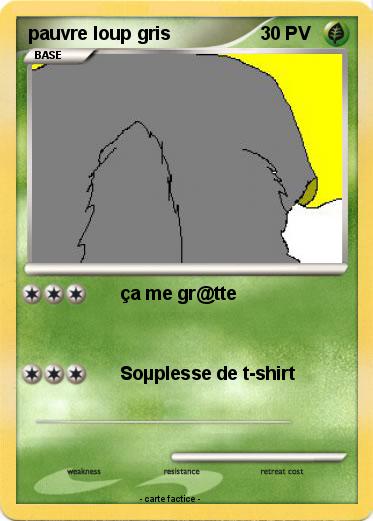 Pokemon pauvre loup gris