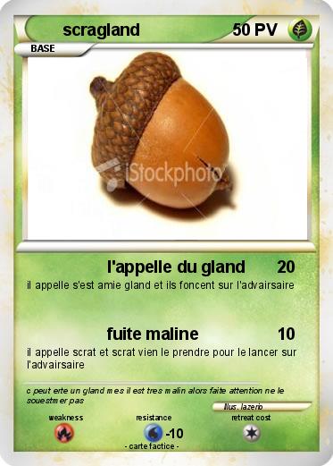 Pokemon scragland
