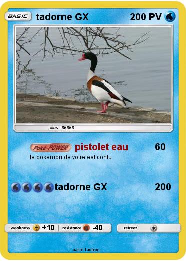 Pokemon tadorne GX