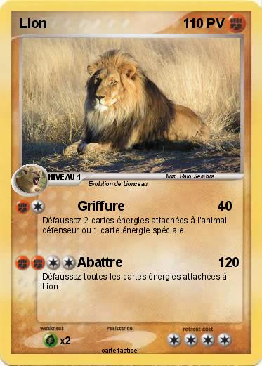 Pokemon Lion