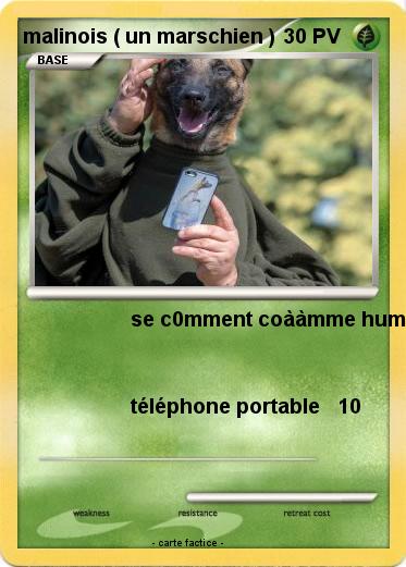 Pokemon malinois ( un marschien )