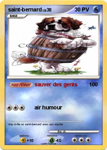 Pokemon saint-bernard
