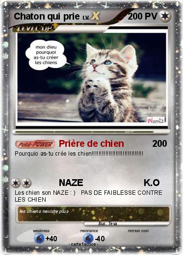 Pokemon Chaton qui prie