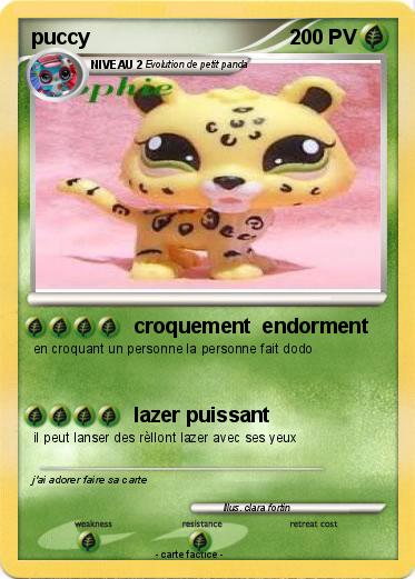 Pokemon puccy