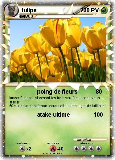 Pokemon tulipe