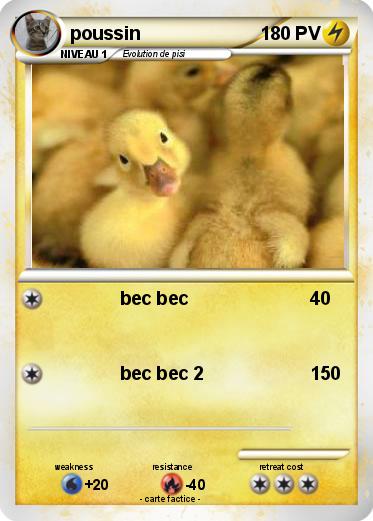 Pokemon poussin