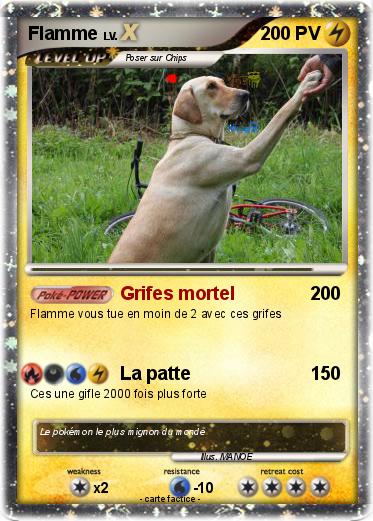 Pokemon Flamme